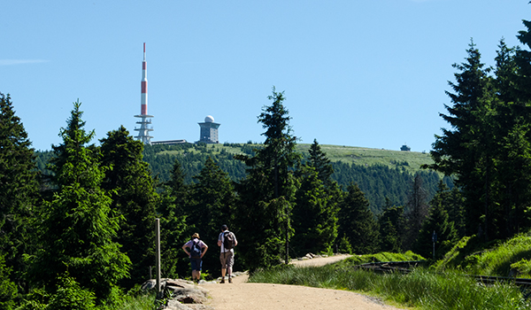 Wanderer auf dem Goetheweg zwischen Torfhaus und Brocken