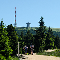 Wanderer auf dem Goetheweg zwischen Torfhaus und Brocken