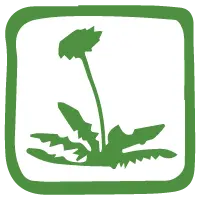 Logo des Erlebnispfads Löwenzahnpfad im Nationalpark Harz