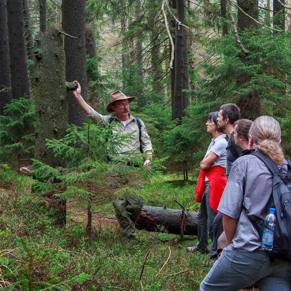 Ein Ranger erklärt einer Gruppe die Natur im Nationalpark Harz.