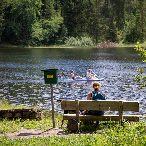 Eine Wanderin sitzt auf einer Bank neben einem Stempelkasten der Harzer Wandernadel und schaut zwei Frauen zu, die vor ihr über einen See paddeln.