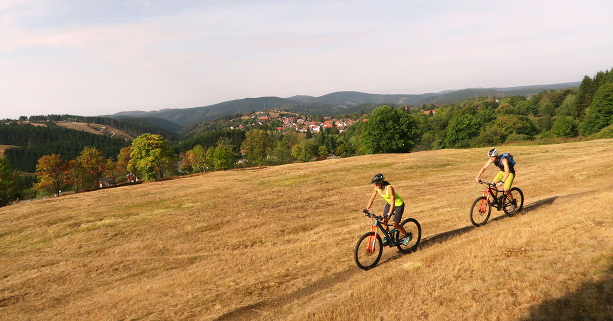 Zwei Mountainbiker fahren eine Trail über die Bergwiesen von St. Andreasberg