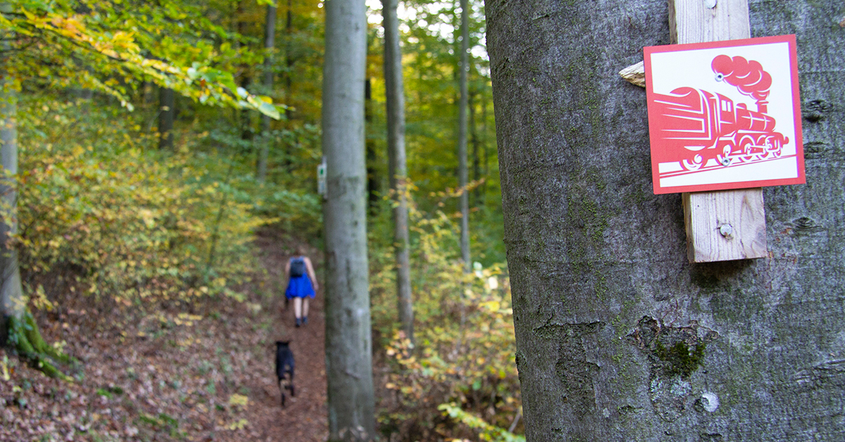 Das Symbol des Südharzer Dampfloksteigs an einem Baum