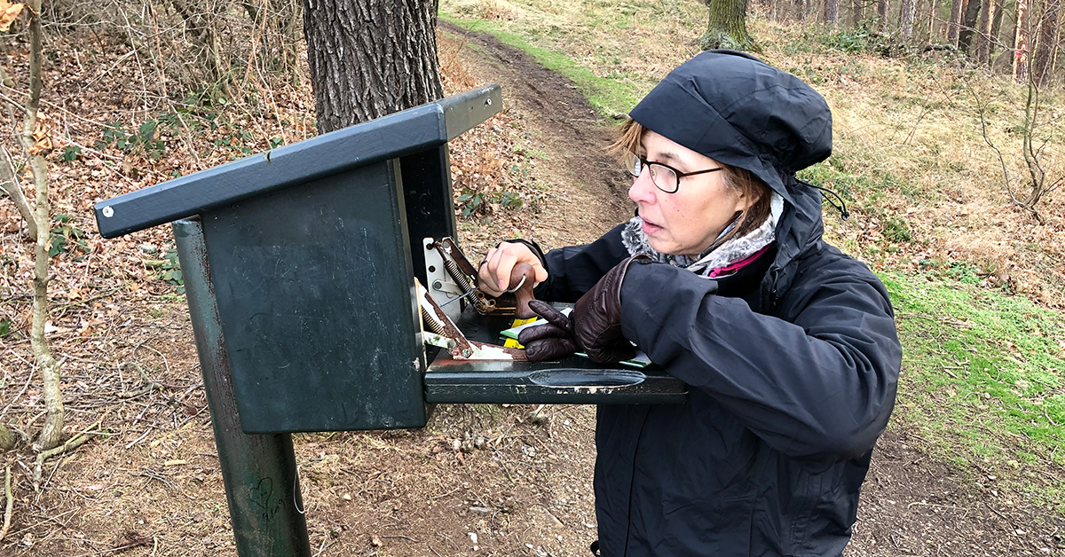 Unsere Lektorin beim Stempeln im Harz