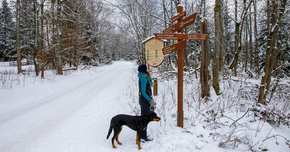 Wandern durch eine traumhafte Winterlandschaft