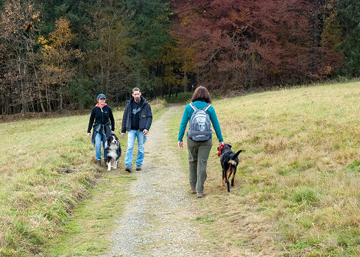 Wanderer mit Hunden passieren einander