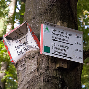 Logo Harzer Hexen-Stieg im Wald