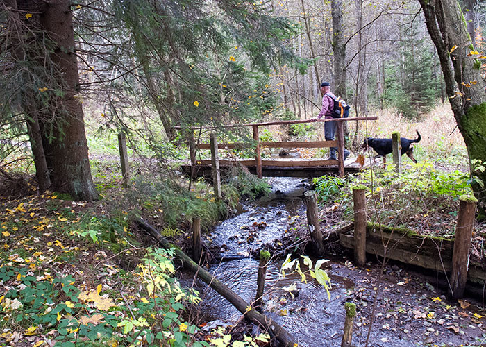 Ein Wanderer mit Hund überquert eine Brücke.
