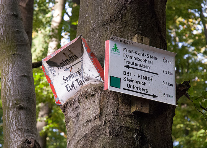 Ein altes und ein neues Harzklub-Schild hängen zusammen an einem Baum.