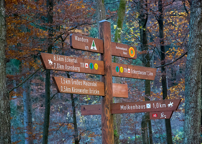 Ein Schilderbaum im Nationalpark Harz